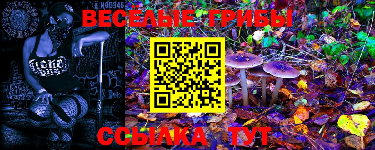 Галлюциногенные грибы GOLDEN TEACHER Арзамас